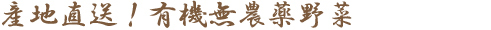 n薳_؂Yn瓖