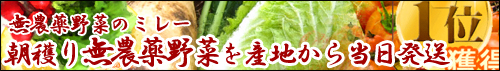 n薳_؂Yn瓖
